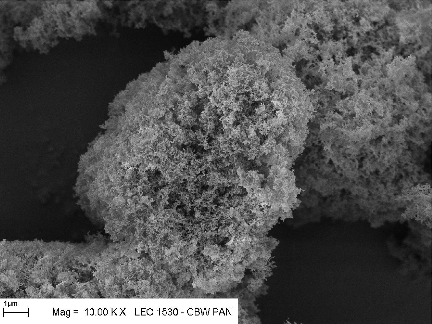 Ziarna fraktalne mogą być bardzo duże
chociaż składają się z nanokryształów. Zachowują własności właściwe
dla skali nano pomimo, że widać je gołym okiem (to na zdjęciu ma ok. 